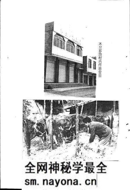 《木兰乡志》.pdf电子版_四川省志预览图5 《木兰乡志》.pdf电子版_四川省志预览图5
