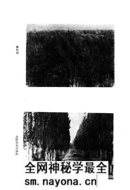 《榆林市林业志》.pdf电子版_陕西省志预览图5 《榆林市林业志》.pdf电子版_陕西省志预览图5