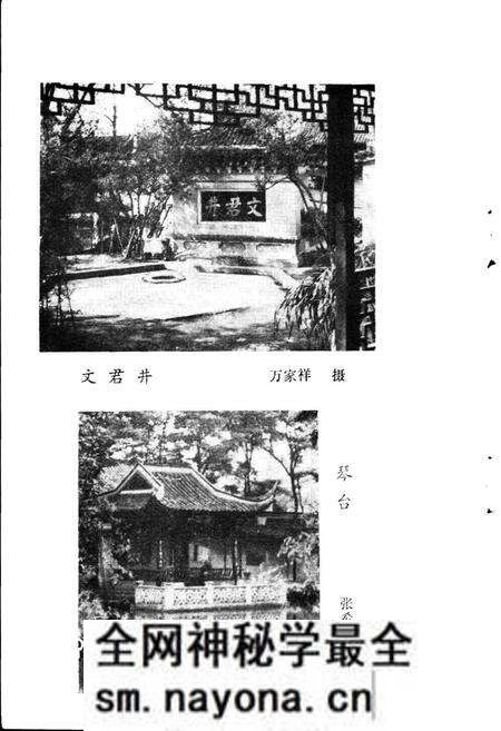 《邛崃县文物志》.pdf电子版_四川省志预览图2 《邛崃县文物志》.pdf电子版_四川省志预览图2