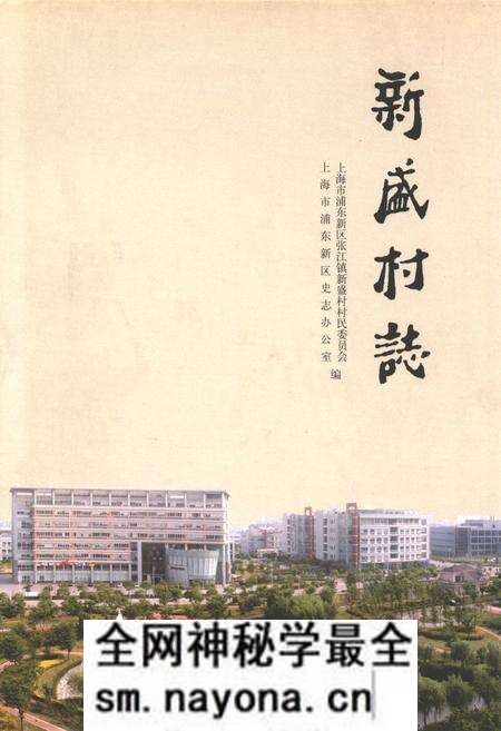 《新盛村志》.pdf电子版_上海市志预览图 《新盛村志》.pdf电子版_上海市志预览图