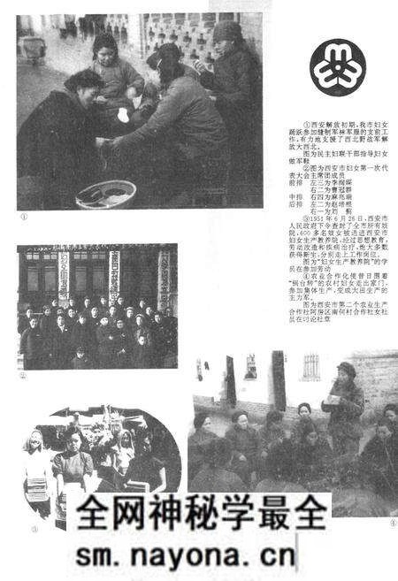 《西安妇女团体志》.pdf电子版_陕西省志预览图1