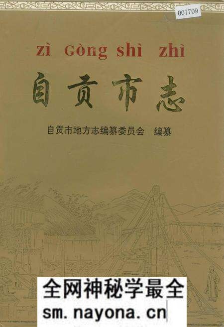 《自贡市志 下》.pdf电子版_四川省志预览图