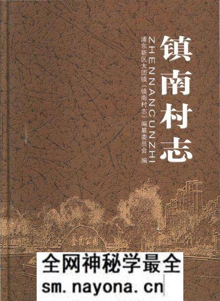 《镇南村志》.pdf电子版_上海市志预览图 《镇南村志》.pdf电子版_上海市志预览图