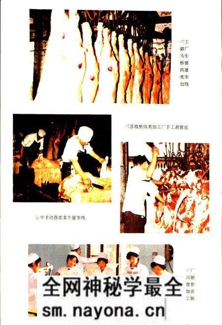 《成都市食品公司志》.pdf电子版_四川省志预览图4 《成都市食品公司志》.pdf电子版_四川省志预览图4