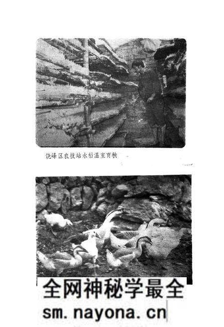 《石泉县农牧志》.pdf电子版_陕西省志预览图4 《石泉县农牧志》.pdf电子版_陕西省志预览图4