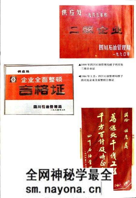 《四川省石油管理局供应处志》.pdf电子版_四川省志预览图4 《四川省石油管理局供应处志》.pdf电子版_四川省志预览图4