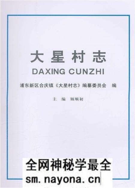 《大星村志》.pdf电子版_上海市志预览图1