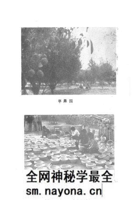 《金鸡滩乡志》.pdf电子版_陕西省志预览图5 《金鸡滩乡志》.pdf电子版_陕西省志预览图5