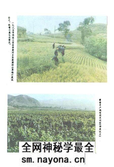 《陇县科技志》.pdf电子版_陕西省志预览图5 《陇县科技志》.pdf电子版_陕西省志预览图5