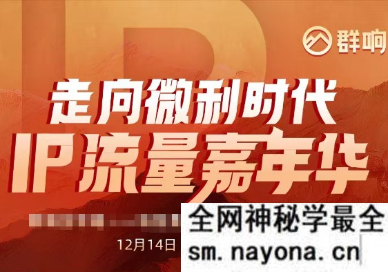 群响陈晶天诺老吴-2025ip嘉年华万人12月14日深圳线下课14节完整