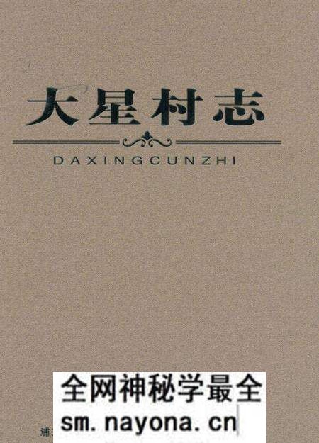 《大星村志》.pdf电子版_上海市志预览图