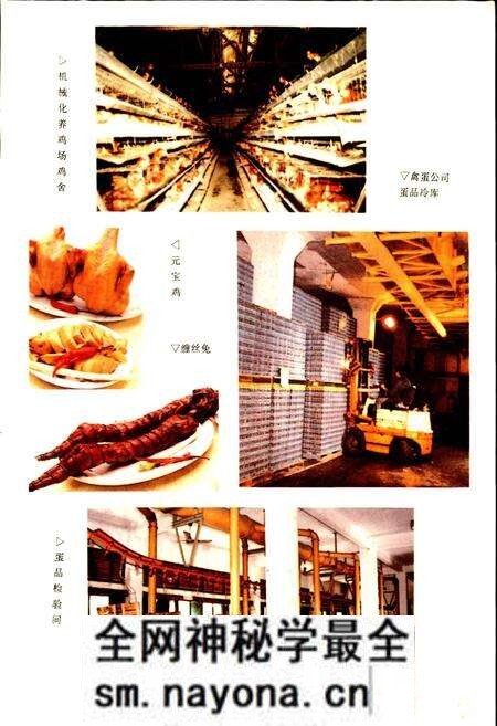 《成都市食品公司志》.pdf电子版_四川省志预览图5 《成都市食品公司志》.pdf电子版_四川省志预览图5
