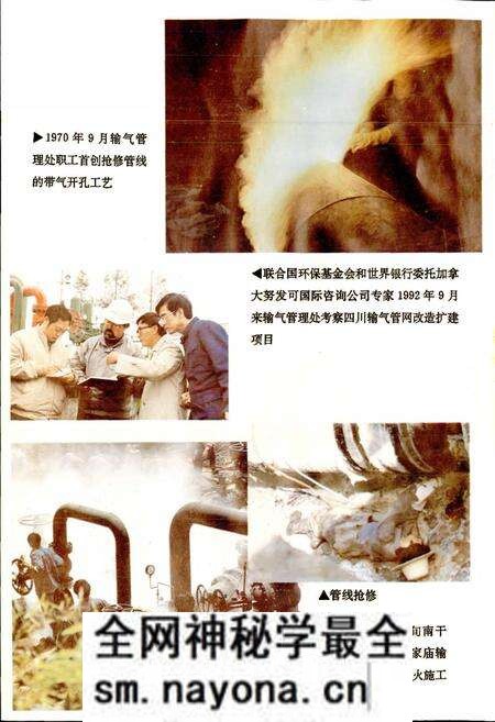 《四川省石油管理局输气管理处志》.pdf电子版_四川省志预览图5 《四川省石油管理局输气管理处志》.pdf电子版_四川省志预览图5