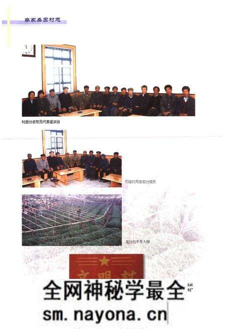 《李家桑园村志》.pdf电子版_山东省志预览图4 《李家桑园村志》.pdf电子版_山东省志预览图4