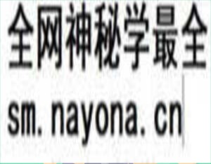 php中文网第19期