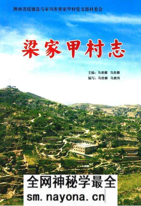 《梁家甲村志》.pdf电子版_陕西省志预览图