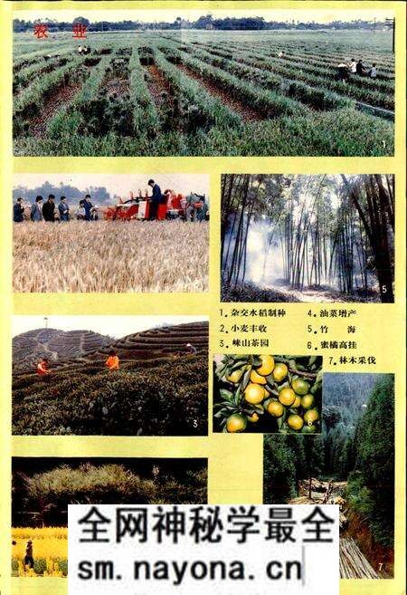《邛崃县志》.pdf电子版_四川省志预览图4