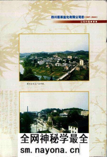 《四川蓬莱盐化有限公司志》.pdf电子版_四川省志预览图5 《四川蓬莱盐化有限公司志》.pdf电子版_四川省志预览图5