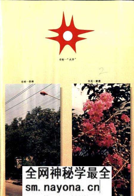 《自贡市志 上》.pdf电子版_四川省志预览图3 《自贡市志 上》.pdf电子版_四川省志预览图3