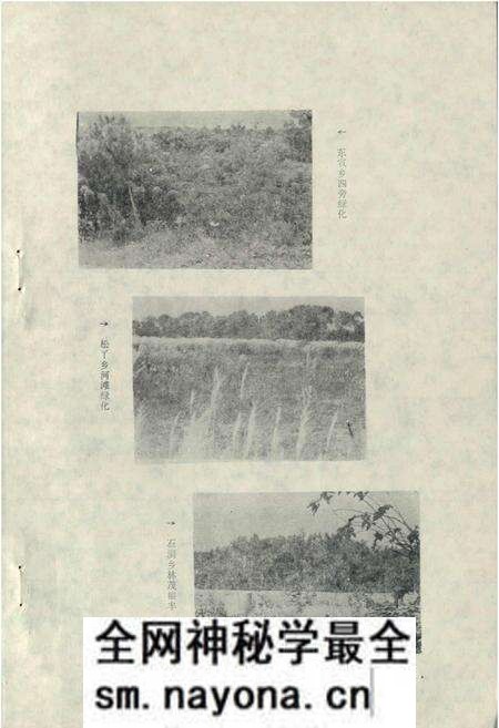 《绵阳市林业志》.pdf电子版_四川省志预览图4 《绵阳市林业志》.pdf电子版_四川省志预览图4