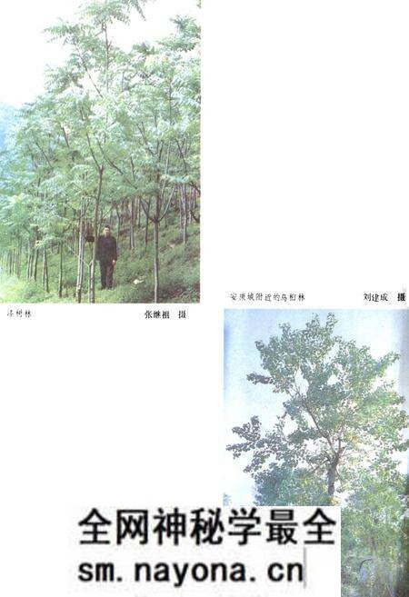 《陕西省安康地区地理志》.pdf电子版_陕西省志预览图5 《陕西省安康地区地理志》.pdf电子版_陕西省志预览图5