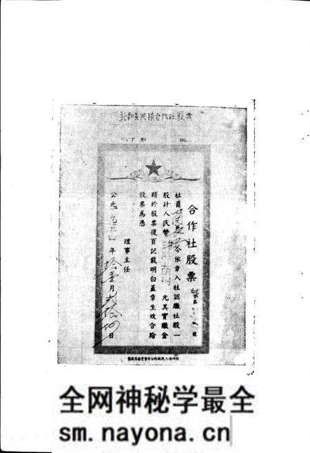 《新都县供销合作志》.pdf电子版_四川省志预览图4