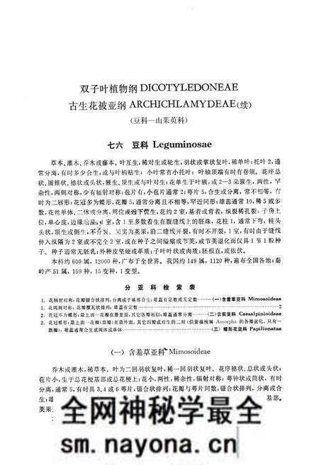 《秦岭植物志·第一卷·种子植物·第三册》.pdf电子版_陕西省志预览图5 《秦岭植物志·第一卷·种子植物·第三册》.pdf电子版_陕西省志预览图5