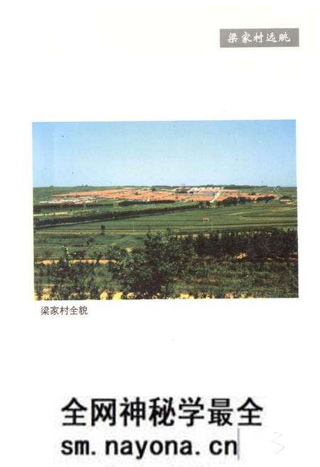 《梁家村志》.pdf电子版_山东省志预览图4