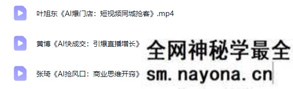 张琦-2026个体增长AI创富火箭2026年5月