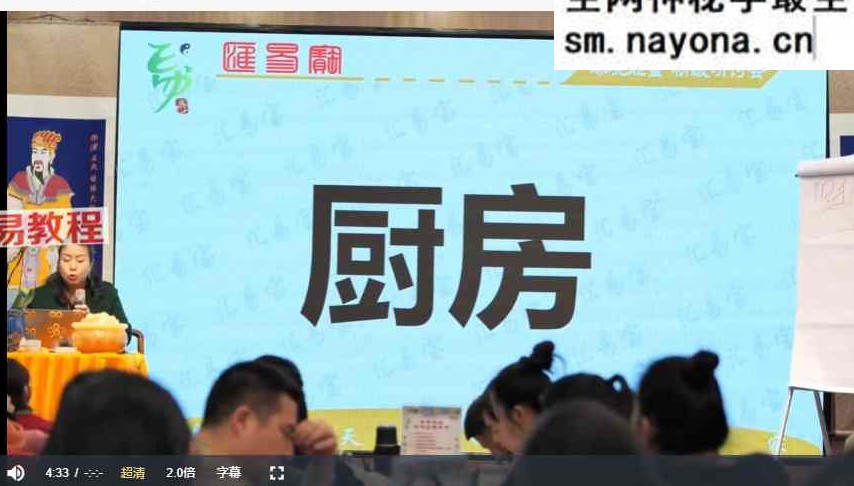 徐子辰环境能量研讨会视频16集