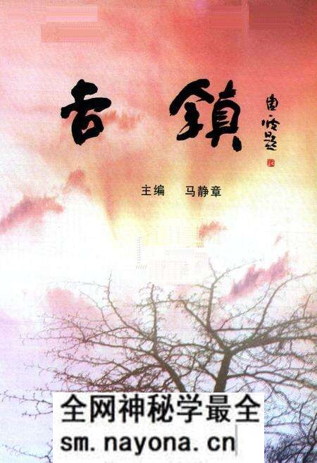 《吉镇村志》.pdf电子版_陕西省志预览图1 《吉镇村志》.pdf电子版_陕西省志预览图1