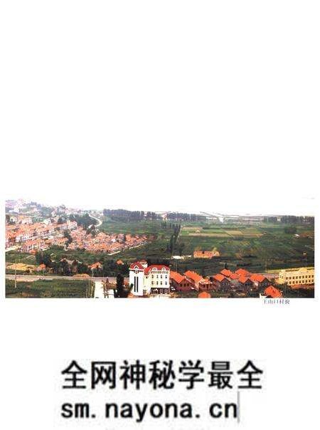 《王山口村志》.pdf电子版_山东省志预览图4 《王山口村志》.pdf电子版_山东省志预览图4