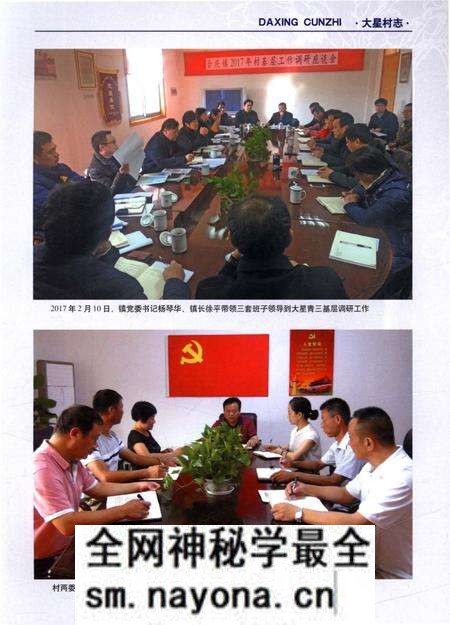 《大星村志》.pdf电子版_上海市志预览图5