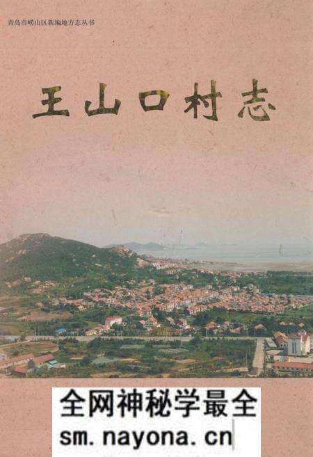 《王山口村志》.pdf电子版_山东省志预览图 《王山口村志》.pdf电子版_山东省志预览图