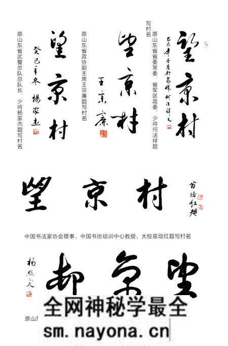 《望京村志》.pdf电子版_山东省志预览图5 《望京村志》.pdf电子版_山东省志预览图5