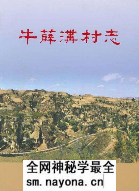 《牛薛沟村志》.pdf电子版_陕西省志预览图
