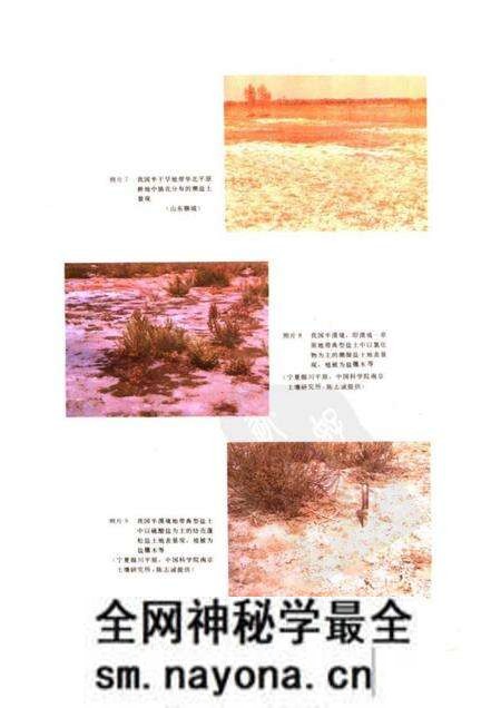 《中国盐渍土》.pdf电子版_其他志预览图4