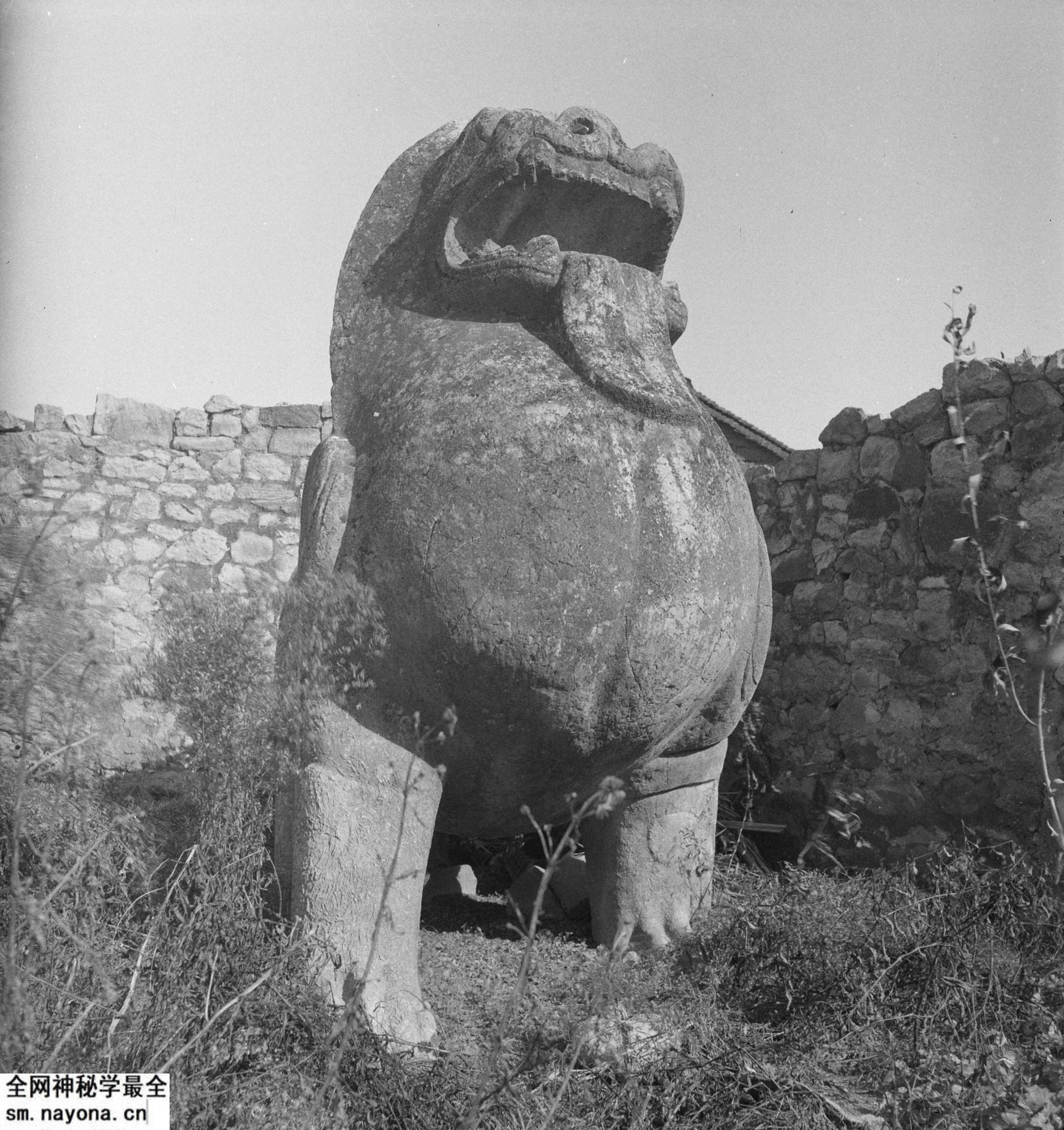 《赫达·莫里逊的摄影集》1933-1946年 全套影集预览图4 《赫达·莫里逊的摄影集》1933-1946年 全套影集预览图4