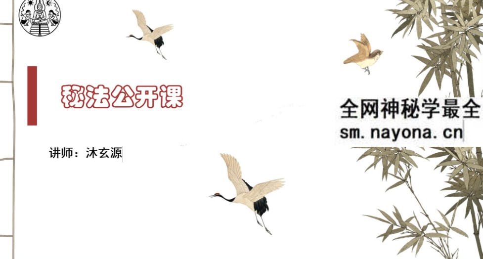 沐玄源《奇术公开课》19页