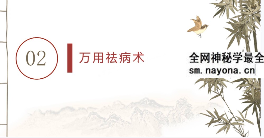 沐玄源《奇术公开课》19页