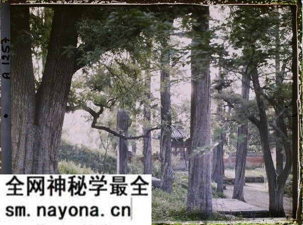1912年曲阜老照片 孔子故里百年前彩色影像(上)预览图39 1912年曲阜老照片 孔子故里百年前彩色影像(上)预览图39