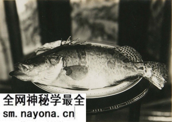 1931年镇江老照片 甘露寺|金山寺|焦山预览图3 1931年镇江老照片 甘露寺|金山寺|焦山预览图3