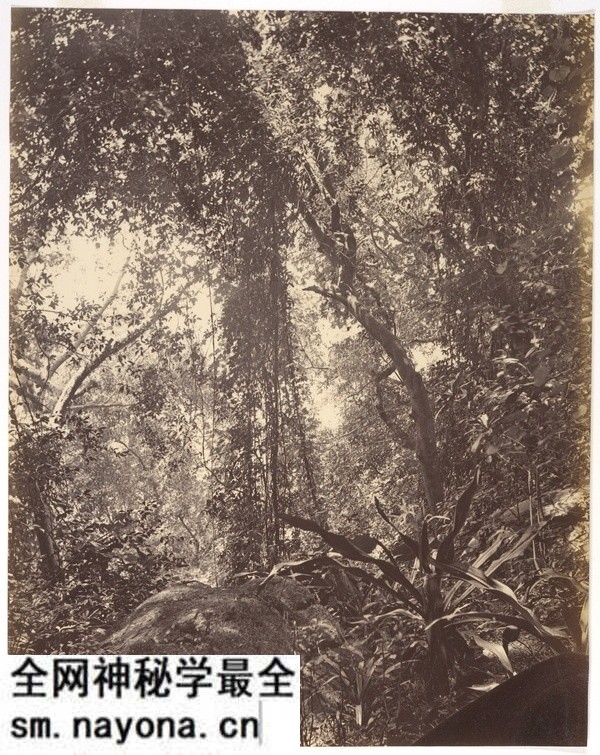 1869年澳门老照片 150年前的澳门城市风貌预览图5 1869年澳门老照片 150年前的澳门城市风貌预览图5