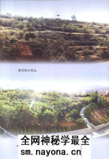 《烟台市芝车罘区小东夼村志(1652-2007)》.pdf电子版_山东省志预览图3