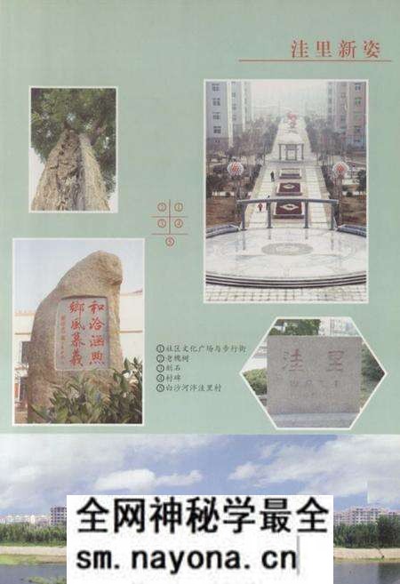 《洼里村志》.pdf电子版_山东省志预览图3 《洼里村志》.pdf电子版_山东省志预览图3
