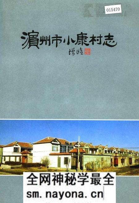 《滨州市小康村志》.pdf电子版_山东省志预览图 《滨州市小康村志》.pdf电子版_山东省志预览图