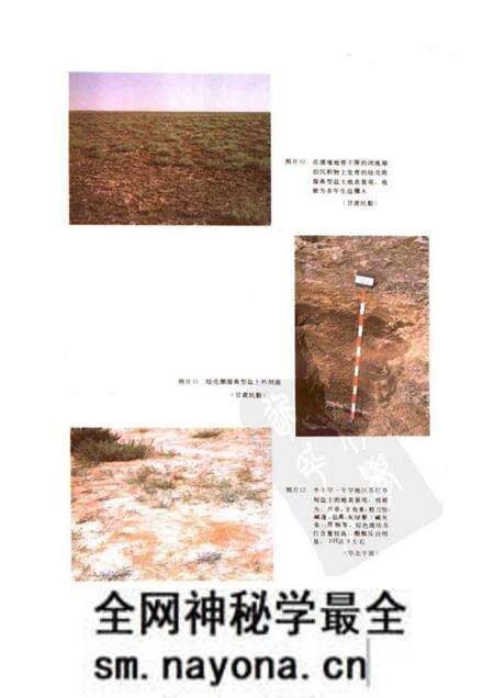 《中国盐渍土》.pdf电子版_其他志预览图5
