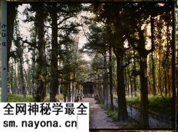 1912年曲阜老照片 孔子故里百年前彩色影像(上)预览图12 1912年曲阜老照片 孔子故里百年前彩色影像(上)预览图12