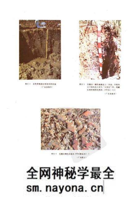 《中国盐渍土》.pdf电子版_其他志预览图3