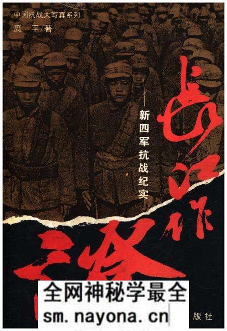 《新四军抗战纪实》.pdf电子版_其他志预览图
